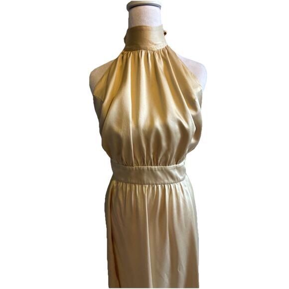 Reformation Alani Silk Maxi Dress Champagne Prom Bridesmaid Greek Goddess Sz 16 - Picture 14 of 16